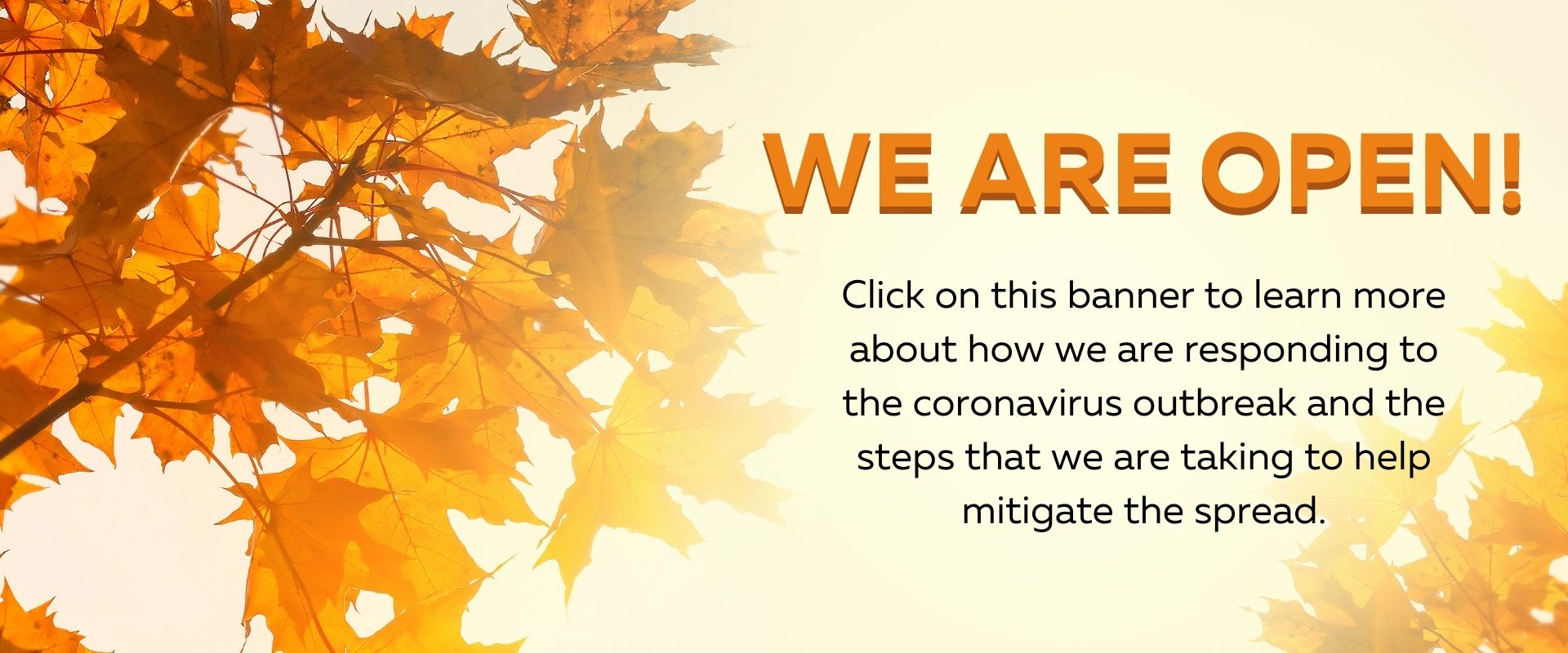 Oklahoma City Florist Flower Delivery Oklahoma City OK